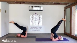 Háton fekvő ászanák - Sarvangasana, Halasana