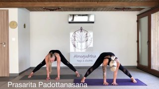 Álló ászanák - Uttanasana, Prasarita, Padottanasana