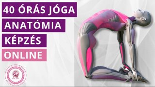 40 órás Jóga Anatómia Képzés - Online