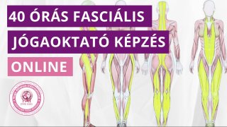 40 órás online fasciális jógaoktató képzés a fascia anatómiájának, miofasciális láncoknak és modern fasciális jógagyakorlatok oktatásához, Yoga Alliance International akkreditációval.