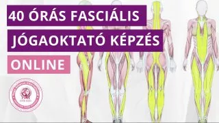 40 órás Fasciális jógaoktató képzés - Online