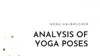 Analysis of yoga poses