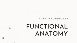 Functional Anatomy - bones, joints, muscles