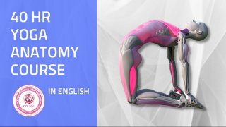 40 hr Yoga Anatomy Course in english - ONLINE