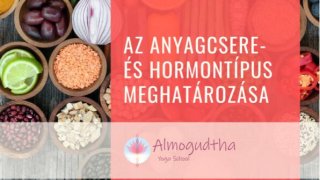 Az anyagcsere- és hormontípus