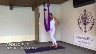 Apollo Flip