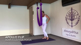Apollo Flip